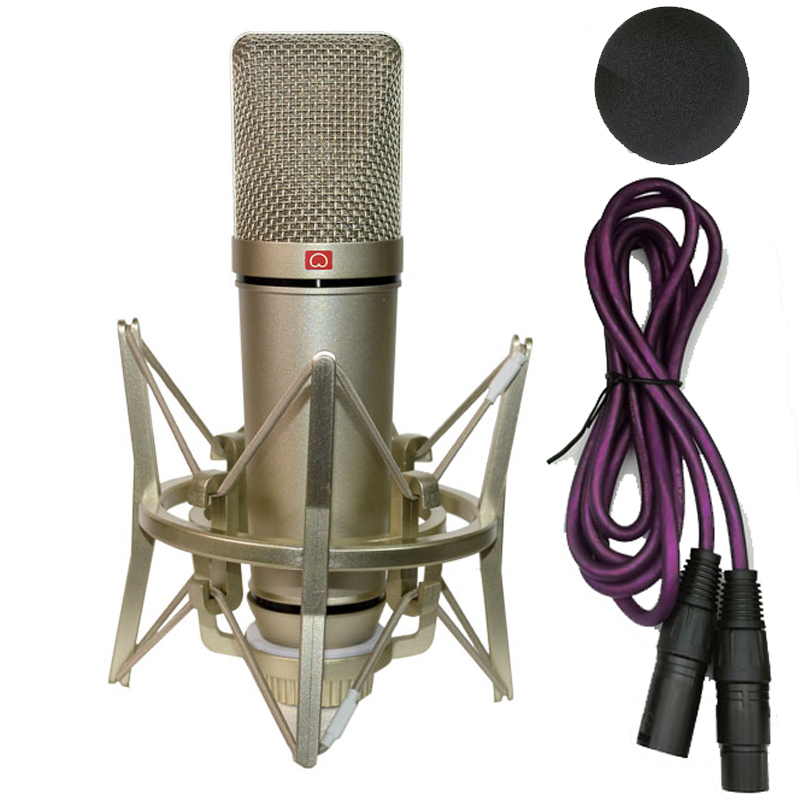 Shure Mic Sm58 - ميكروفون مكثف احترافي ، ميكروفون للكمبيوتر